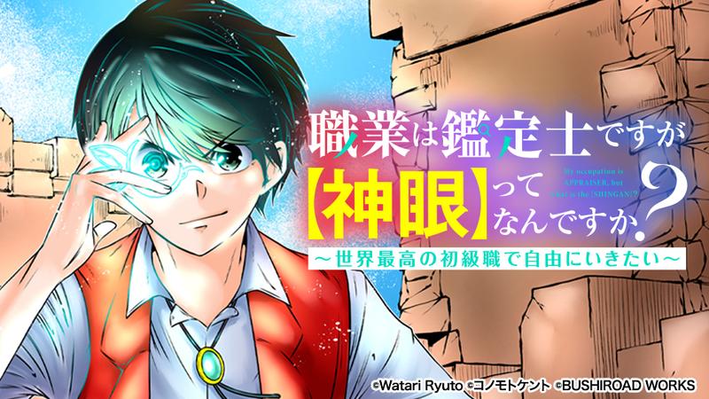 職業は鑑定士ですが【神眼】ってなんですか？　～世界最高の初級職で自由にいきたい～